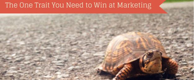 The One Trait You Need to Win at Marketing
