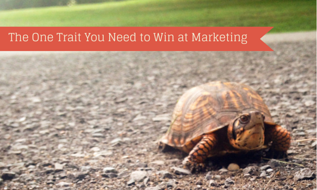 The One Trait You Need to Win at Marketing
