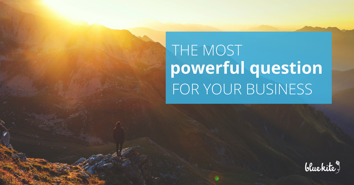 The most powerful question your business must answer to be successful